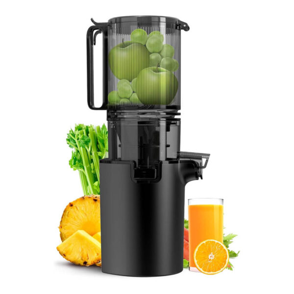 350W Juicer Machine